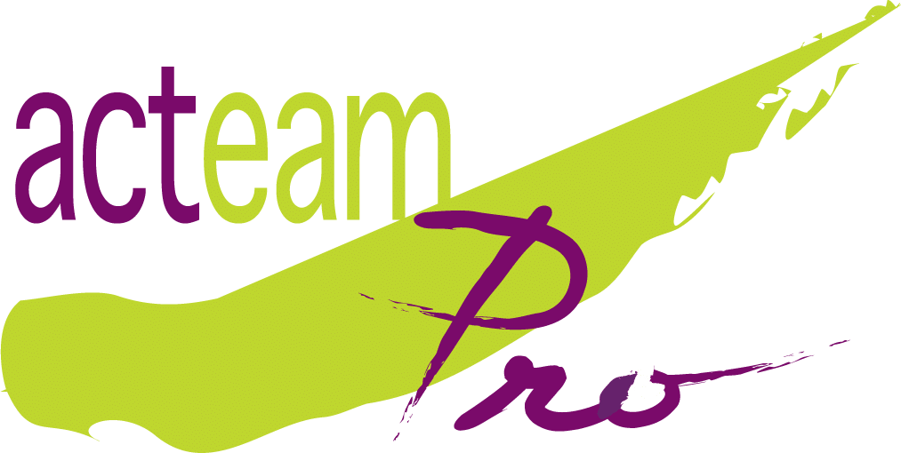 Cabinet conseil Acteam Pro