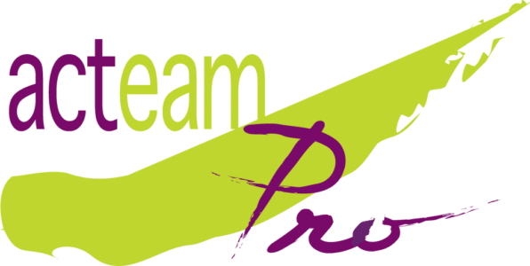 Cabinet conseil Acteam Pro